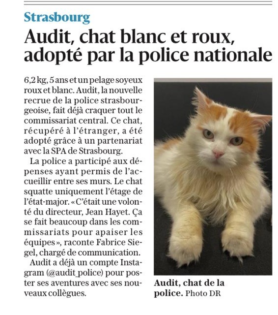 A peine dans nos murs..déjà une star avec déjà 904 followers ! Merci à vous toutes et tous de le suivre sur instagram instagram.com/audit_police/ et Merci à la presse <a href="/dnatweets/">DNA</a> pour son petit article sympa, de ce jour !