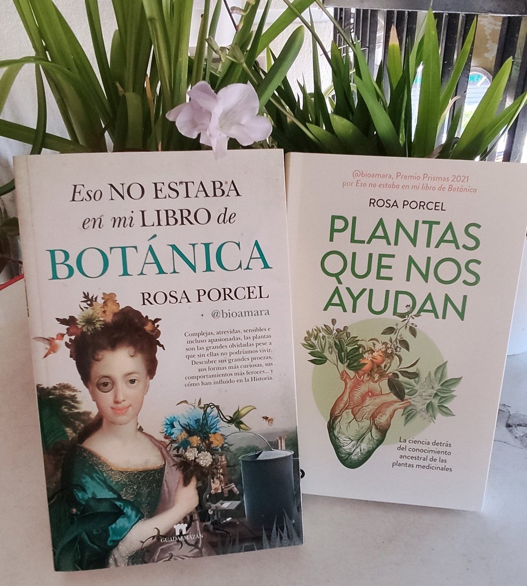 "En cada palabra leída, una nueva idea florece en el jardín de tu mente."

Feliz #DiaDelLibro 🌹