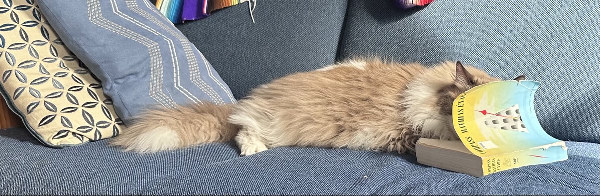 Christopher Byrd tweet media