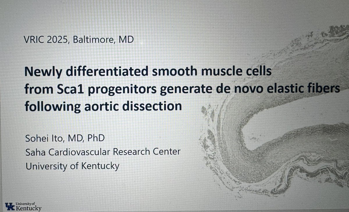 SamTyagiMD's tweet image. Excellent talk @VascularSVS #VRIC by @SoheiIto of @hisashi_sawada Lab on the novel finding of de novo elastic fibers in chronic aortic dissection! They told us in school, no new elastin! Wow 🤯! @GillKentucky @UK_HealthCare @UKvascular See poster at #VascularDiscovery25