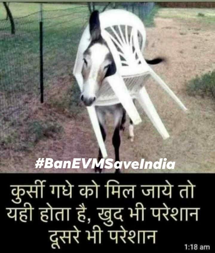 suraj_yadav2005's tweet photo. #EVMGovernment 😂🐴 https://t.co/Tx4fNVzGWG
