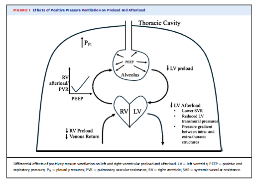 Miguel Corbí (@corbi_miguel) on Twitter photo Navigating Hypoxemic Respiratory Failure in Critically Ill Cardiac Patients | JACC: Advances jacc.org/doi/10.1016/j.… <a href="/AgudosSEC/">Asociación CI y Cuidados Agudos Cardiovasculares</a> <a href="/Ana_Viana_T/">Ana Viana Tejedor</a> <a href="/randreariba_rut/">Rut Andrea</a> <a href="/Auribarri/">Aitor Uribarri</a> <a href="/plomaosorio/">plomaosorio</a> <a href="/PabloJ/">Pablo Jorge</a> <a href="/ASionis/">Alessandro Sionis</a> Navigating Hypoxemic Respiratory Failure in Critically Ill Cardiac Patients | JACC: Advances jacc.org/doi/10.1016/j.… <a href="/AgudosSEC/">Asociación CI y Cuidados Agudos Cardiovasculares</a> <a href="/Ana_Viana_T/">Ana Viana Tejedor</a> <a href="/randreariba_rut/">Rut Andrea</a> <a href="/Auribarri/">Aitor Uribarri</a> <a href="/plomaosorio/">plomaosorio</a> <a href="/PabloJ/">Pablo Jorge</a> <a href="/ASionis/">Alessandro Sionis</a>