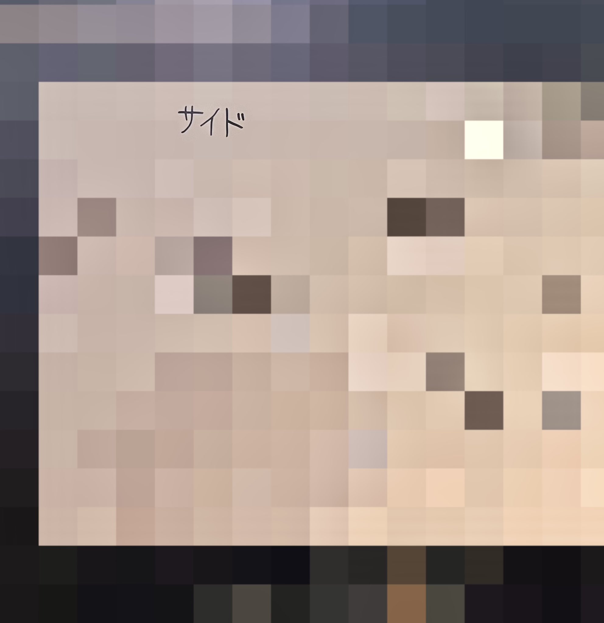 🌙【予約開始】「夜闇に潜む猫」ジャカード織ウール混ニット