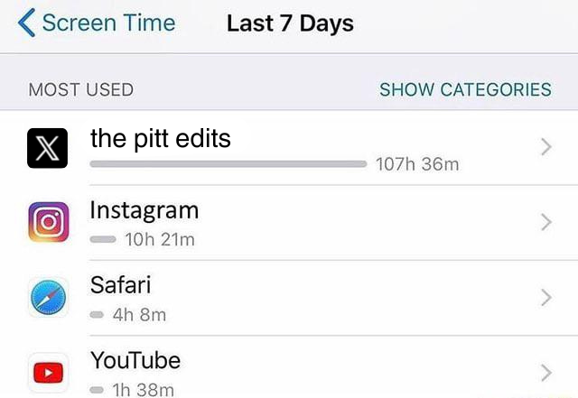 someone who is good at screen time please help me budget this. my family is dying