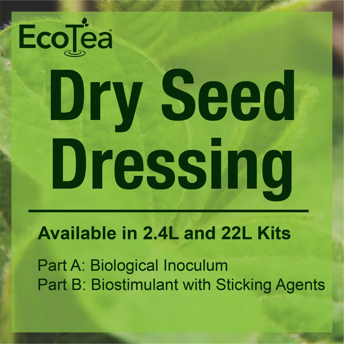 EcoTea™ tweet media