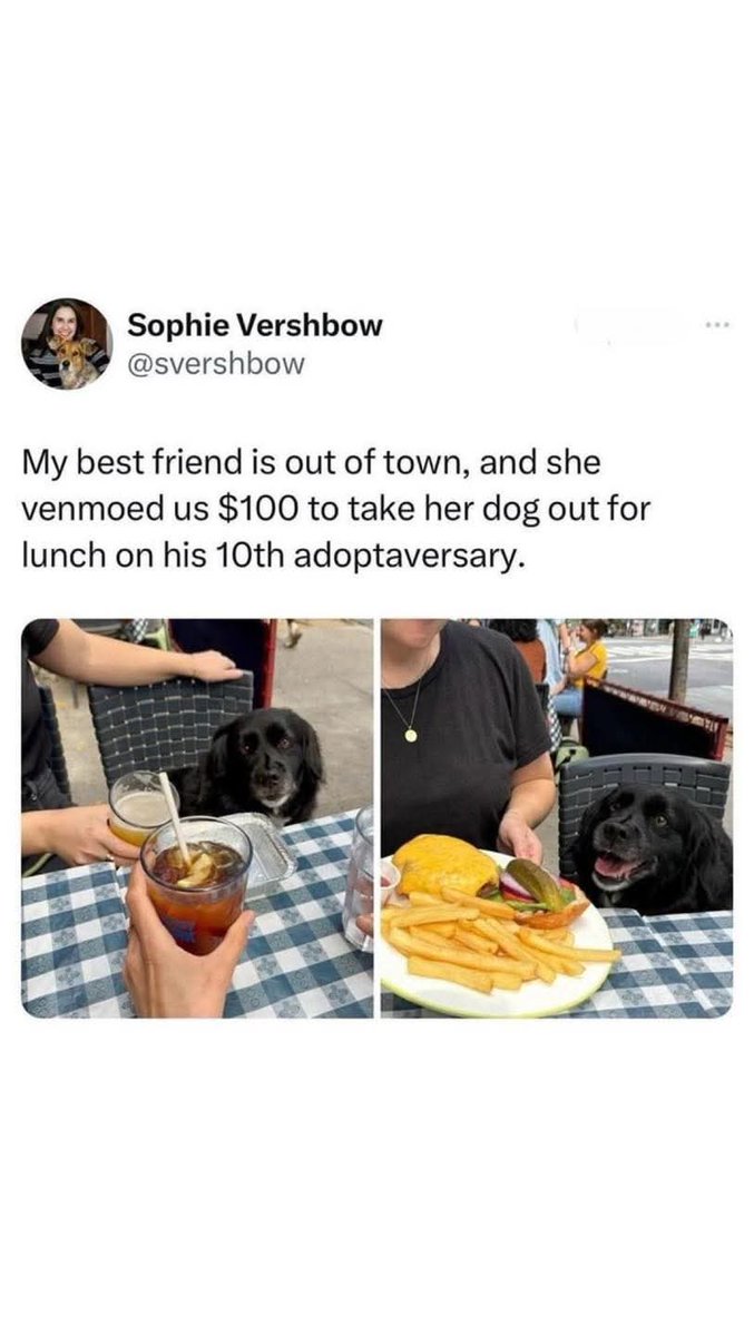 OscarWinning's tweet image. Today is our Violet&apos;s THIRD birthday (they grow up so fast *sniff*) and we&apos;re having a party!

Do you celebrate your pets birthdays or gotcha days?  If so, tell us how!

#OscarWinningBehavior #BehaviorThatWinsRewards
#birthdayparty #happybirthday #fun #doglove #petsarefamilytoo