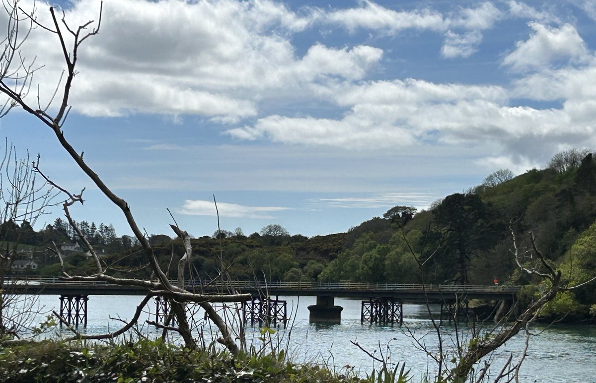 DeasyPamela's tweet photo. #day112 of #200daysofwalking 

#Wednesday #lunchtimewalk 
Just home from Cork, so out for a walk 😊

#April2025 #SpringinIreland https://t.co/47XvpnrfdD