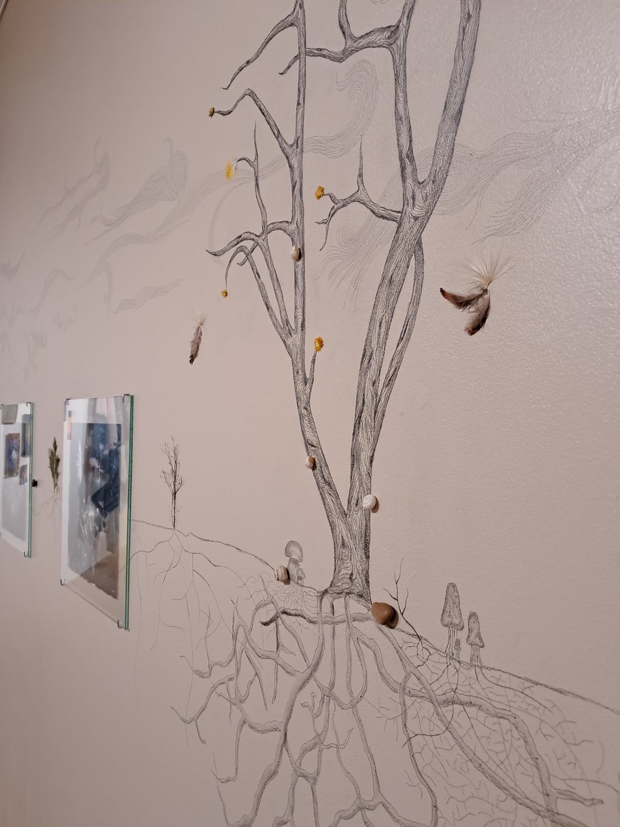 ༄ Chi del Monte tweet media