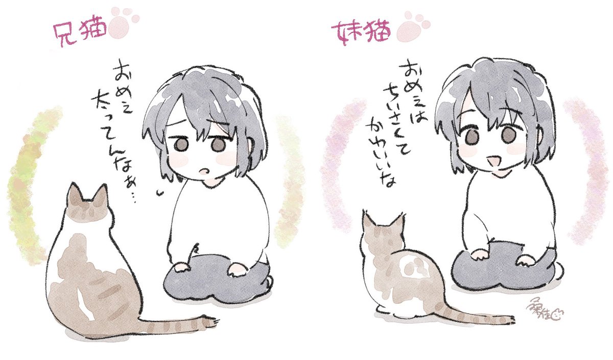 リアルおばあちゃんの思い出(辛辣)
兄猫🐈この後他の家族にめちゃめちゃ慰め可愛がられてそれはそれで満足そうだった 