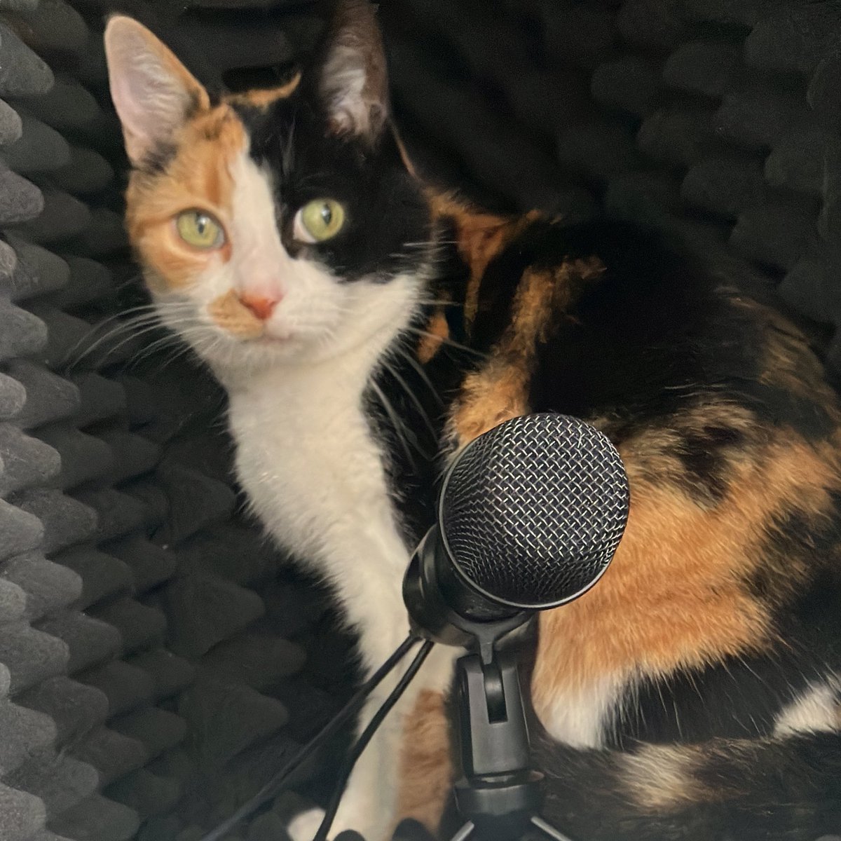 Small technical difficulty <a href="/BBCFarmingToday/">Farming Today</a>