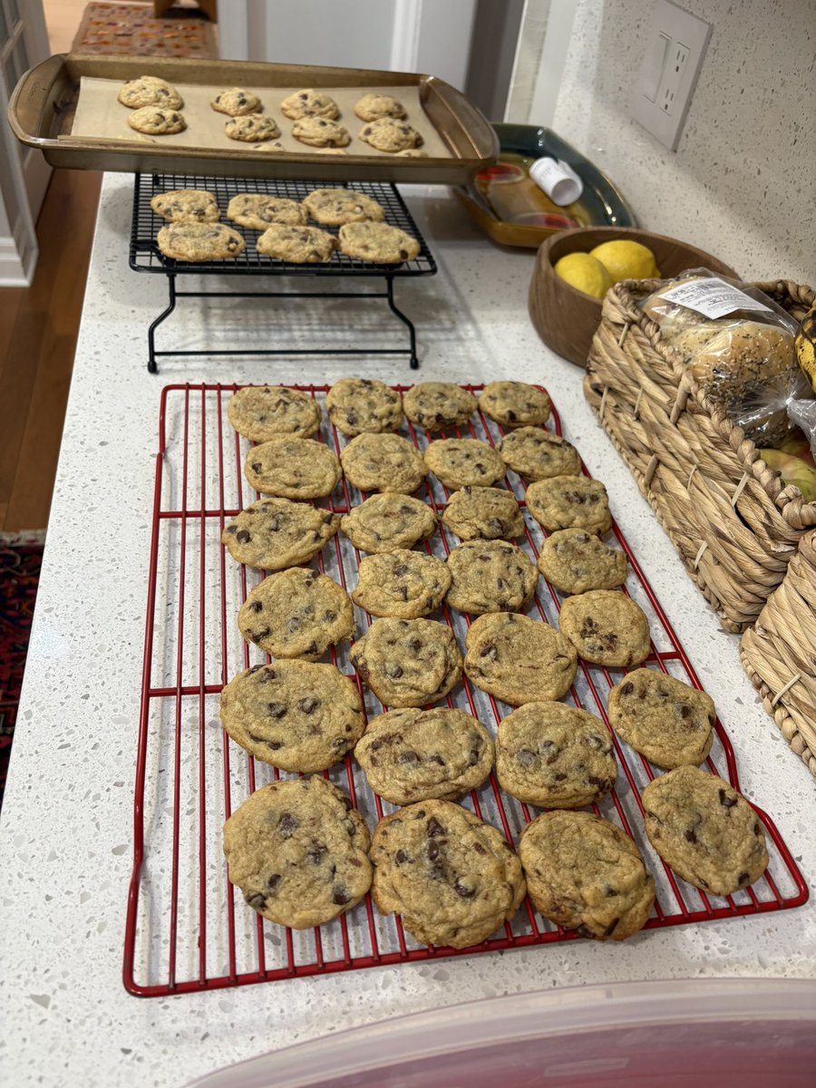 Beth_Levy66's tweet image. Campaign cookies for the final push. #GOTV #Election2025 @vgasparro