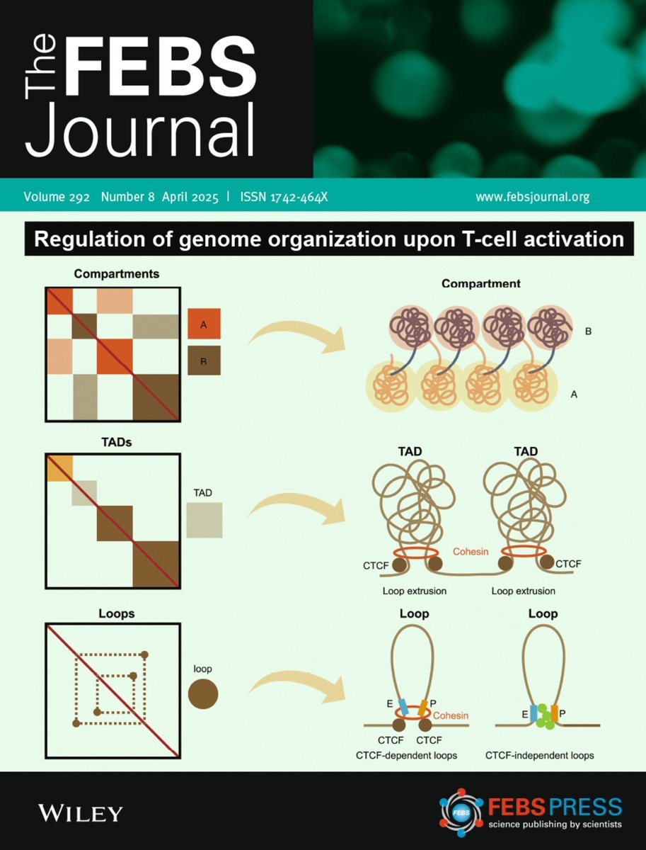 FEBSJournal's tweet image. 🦠 Fix your #HumpDay blues with our latest issue:
Your journey starts with a healthy helping of #immunology reviews & takes you through the best and brightest original research in the molecular life sciences:
🦠 buff.ly/6W7NkMV