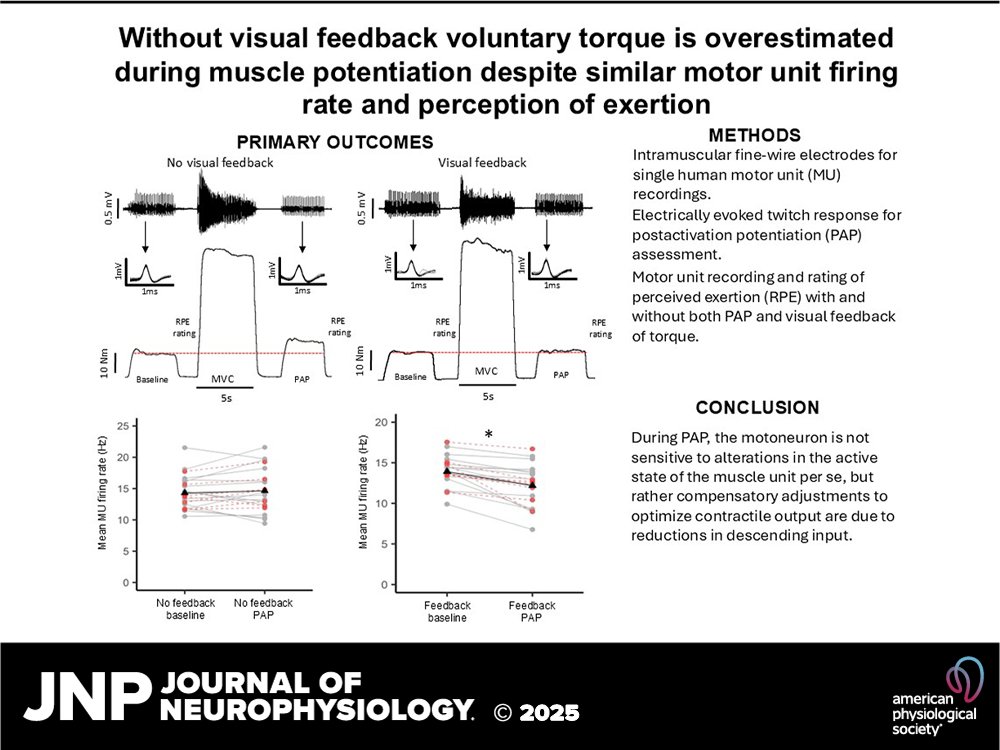 JNP (@jneurophysiol) on Twitter photo Interesting insights: Without visual feedback, torque remains stable as reduced voluntary drive limits motor output. Muscle potentiation doesn’t shift motoneuron sensitivity—it's all about perceptual cues!
ow.ly/AcxN50VtvNg
<a href="/Alex_M_Zero/">Alexander Zero</a> #electromyography #motoneuron Interesting insights: Without visual feedback, torque remains stable as reduced voluntary drive limits motor output. Muscle potentiation doesn’t shift motoneuron sensitivity—it's all about perceptual cues!
ow.ly/AcxN50VtvNg
<a href="/Alex_M_Zero/">Alexander Zero</a> #electromyography #motoneuron