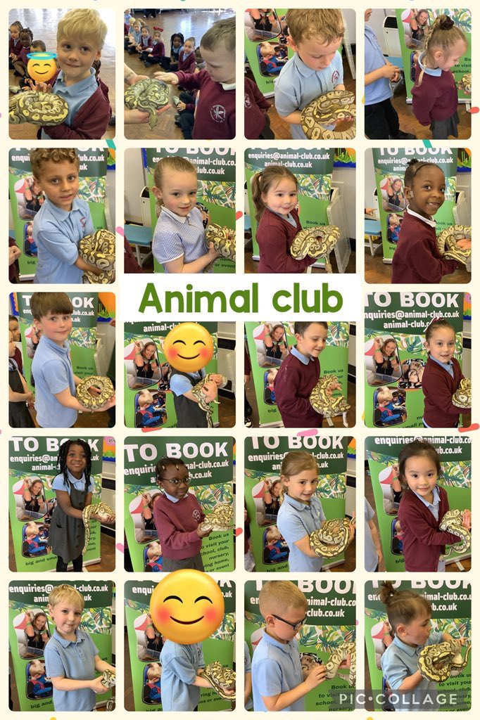 FS2Stradbroke's tweet photo. We loved having the Animal Club today! We have been very brave when holding the snake 🐍☺️👏🏻 @StradbrokePri https://t.co/goC4uArijs