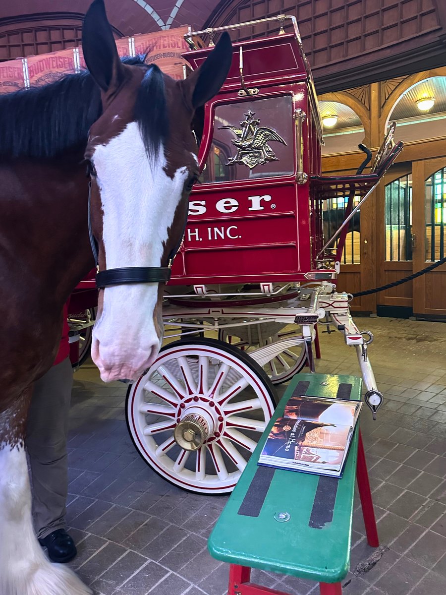 It's World Book Day, and Jet has his nose in his favorite book... literally.