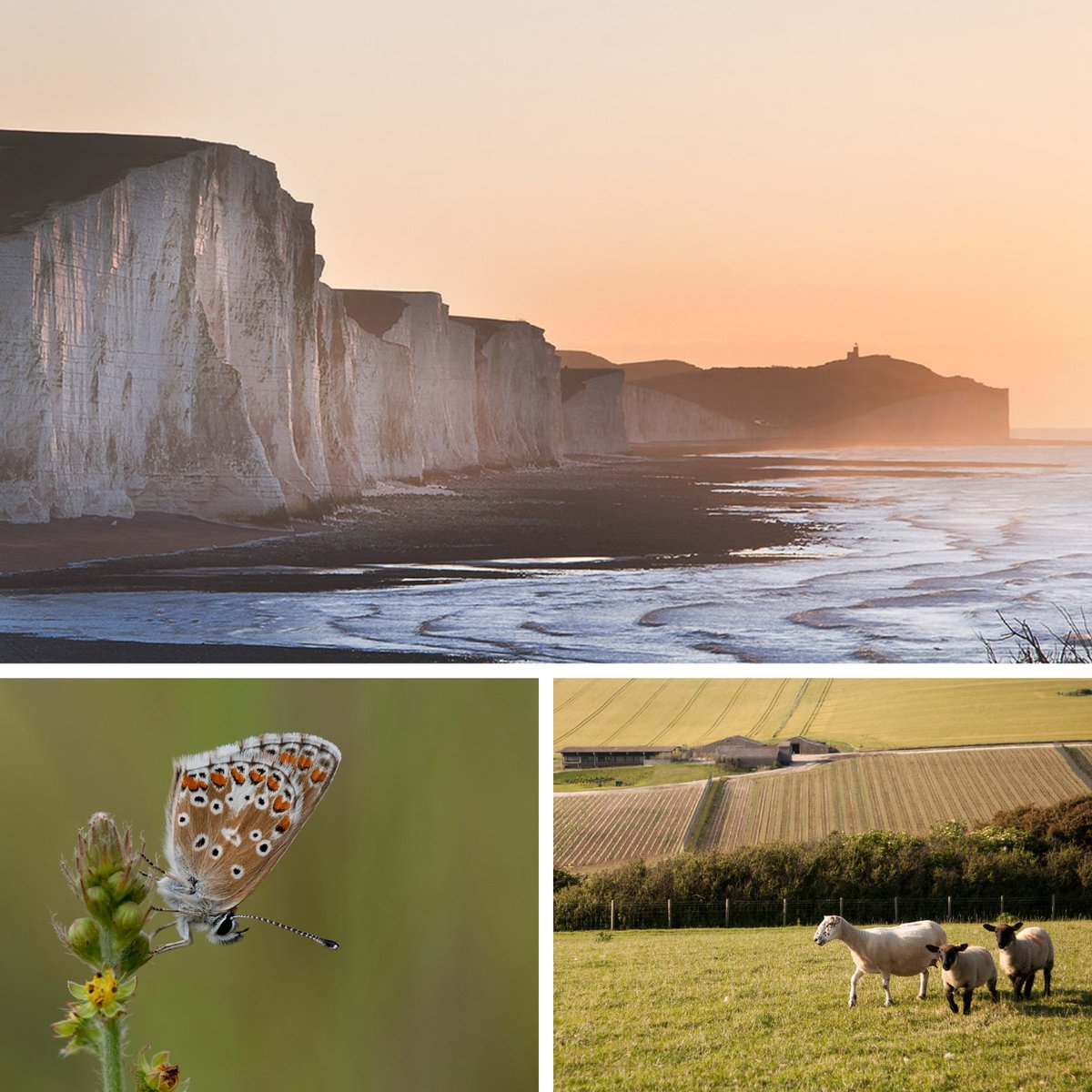 Rathfinny Estate (@rathfinnyestate) on Twitter photo Celebrating 15 years of the South Downs National Park.
We’re proud to play our part in this special landscape as a B Corp Estate in the <a href="/sdnpa/">South Downs National Park</a>. Celebrating 15 years of the South Downs National Park.
We’re proud to play our part in this special landscape as a B Corp Estate in the <a href="/sdnpa/">South Downs National Park</a>.
