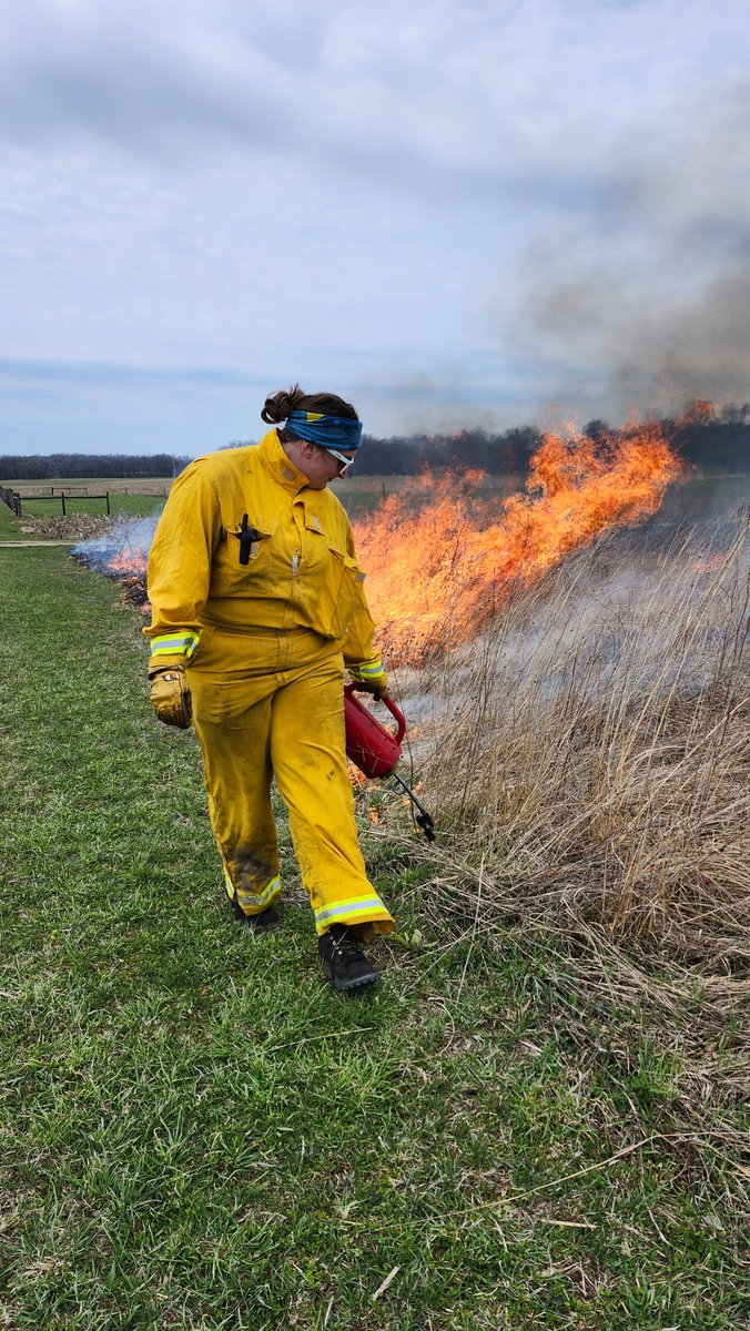 MSU AgBioResearch (@msuagbio) on Twitter photo .<a href="/michiganstateu/">MSU</a> students and W.K. Kellogg Forest volunteers helped with prescribed burns conducted for Dr. Lars Brudvig and Dr. Nick Haddad on pollinator prairies at <a href="/KelloggBioStn/">W.K. Kellogg Biological Station</a>. This is part of the Conservation Lands Experiment through <a href="/KBSLTER/">Kellogg Biological Station LTER</a>. .<a href="/michiganstateu/">MSU</a> students and W.K. Kellogg Forest volunteers helped with prescribed burns conducted for Dr. Lars Brudvig and Dr. Nick Haddad on pollinator prairies at <a href="/KelloggBioStn/">W.K. Kellogg Biological Station</a>. This is part of the Conservation Lands Experiment through <a href="/KBSLTER/">Kellogg Biological Station LTER</a>.