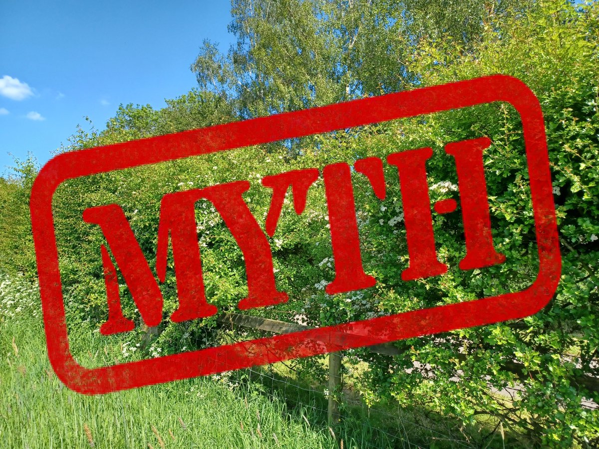 I'm writing a hedge talk - myth busting all the common misconceptions

What hedge myths shall I include?