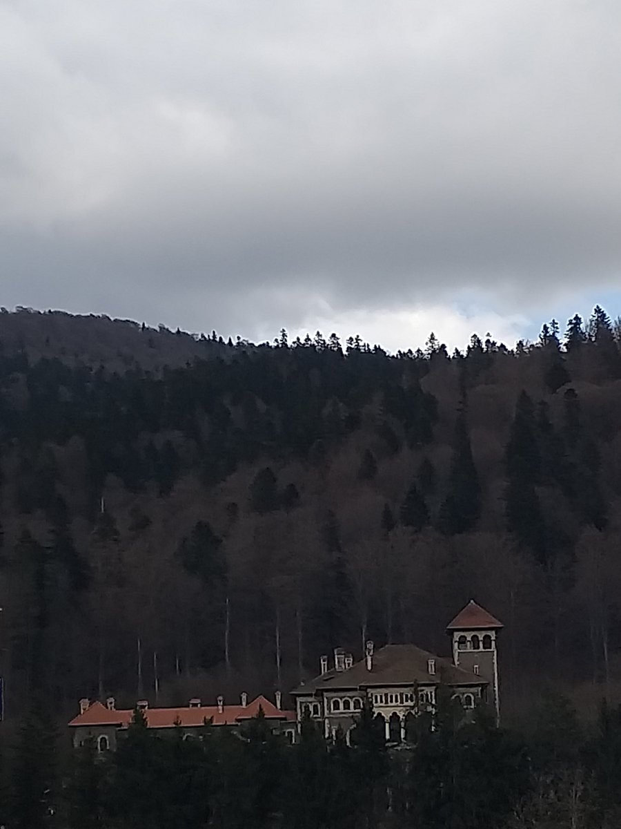 eriesence's tweet image. 