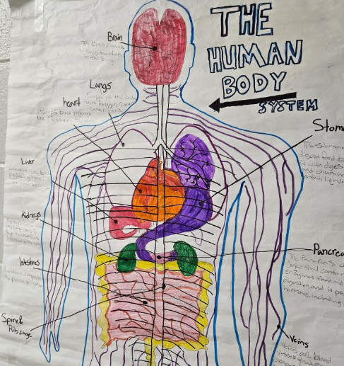 JohnStem_EISD's tweet photo. 🧠💪🫀🦴Instructor Carpenter's 7th grade science students are crushing it! They created amazing human body system posters to show off their knowledge 🔬🧬
Learning about the body has never looked so cool! 👏📚 #ScienceRocks #7thGradeScience #FutureScientists https://t.co/QRErrhq9rB