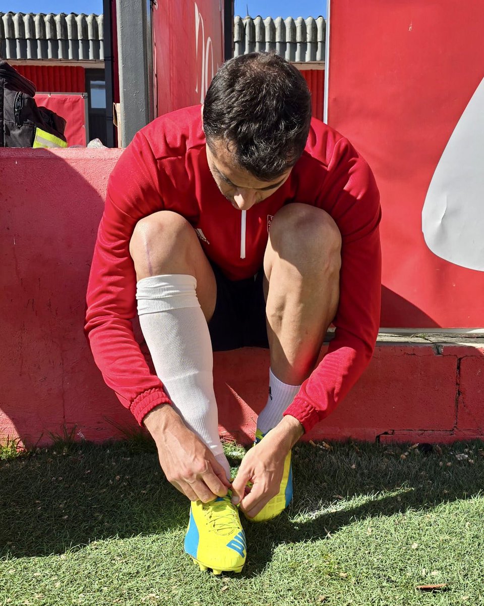 S.D. Tarazona tweet media