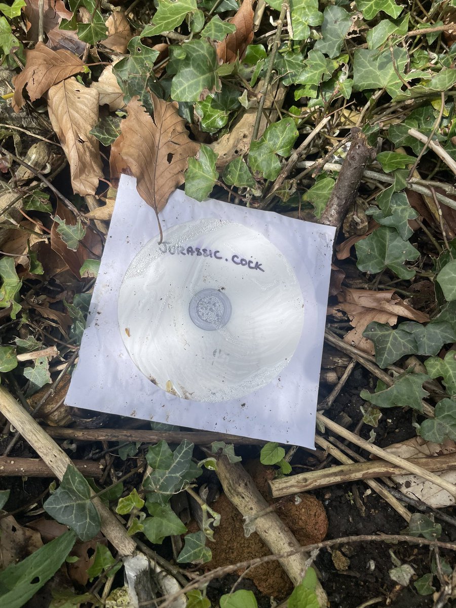 Spotted on the school run… so
many questions.

Number 1: Do I still have a DVD player?