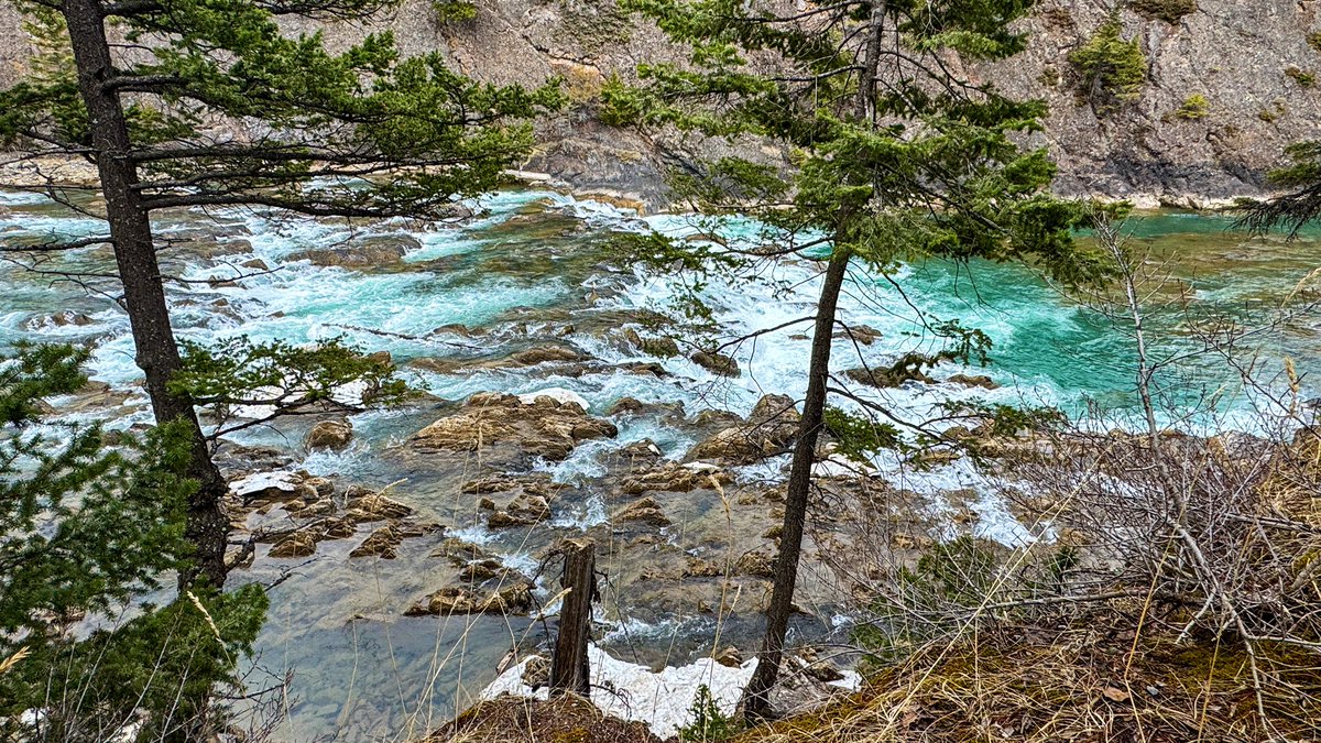 StanWil44579968's tweet photo. @CTVdavidspence @CTV_Danielle @Washed_Up @TiffanyLizee How low can the Bow go? Bow Falls in Banff has turned into Bow Rapids. It’s quite evident the river is low. We need more water to recharge reservoirs. Too soon to predict spring rainfall amounts or snowmelt totals? #banfftown https://t.co/akAZsKjAxq