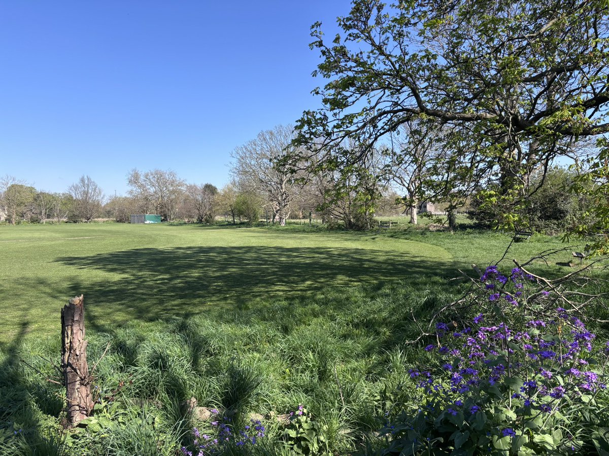 Mini Athletics club for year 1 children every Thursday on Putney lower common 📢 <a href="/AllSaintsSW15/">All Saints' School</a> <a href="/OasisPutney/">Oasis Academy Putney</a> <a href="/HurlinghamPrep/">Hurlingham School and Nursery</a> <a href="/prospecths/">Prospect House</a> <a href="/PutneyMums/">Putney Mums</a> get your children active in nature this summer! 🔗 sgsport.co.uk/after-school-c… #activekids #putney #putneylowercommon #booknow