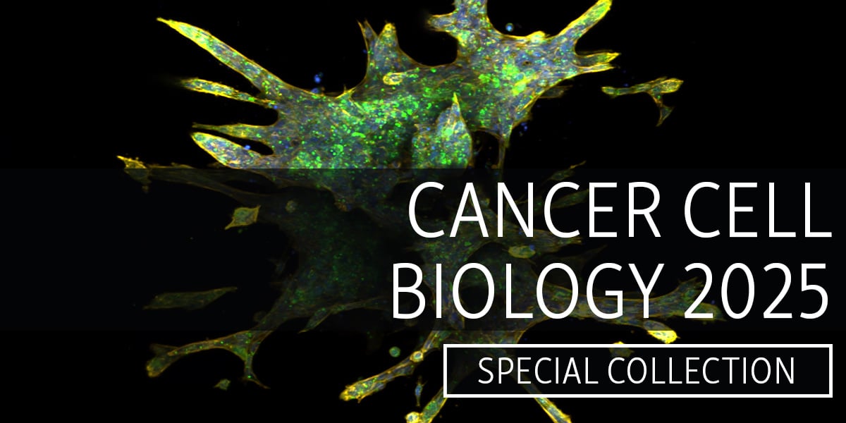 Our new #Cancer Cell Biology collection comprises mechanisms underlying cancer cell invasion, including analyses of lipogenesis, lysosomal phosphoinositide homeostasis, and the laminin-mediated activation of Rac-1. 👉 hubs.ly/Q03j2G4V0

#AACR25