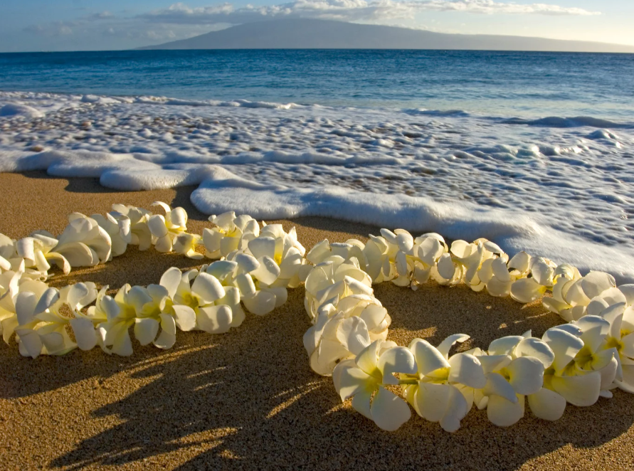fun_world_facts's tweet photo. Now that's a fun fact! 🏖️ On May 1st each year Hawaii celebrates May Day as “Lei Day” with the motto “May Day is Lei Day in Hawaii,” celebrating Hawaiian culture and music 🌺 https://t.co/eD3oWzUn7J