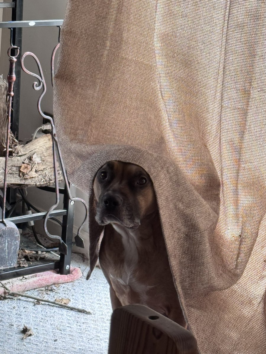 oh no this is my babushka Mr game refuge man