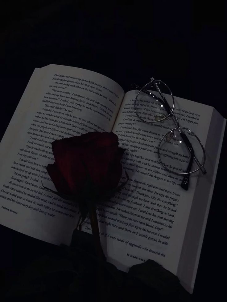 — Los libros son, en mi opinión, nuestra más inagotable fuente de poder. Jamás subestimes el alcance de sus palabras.

                 𝐅𝐞𝐥𝐢𝐳 𝐝𝐢́𝐚 𝐝𝐞𝐥 𝐋𝐢𝐛𝐫𝐨