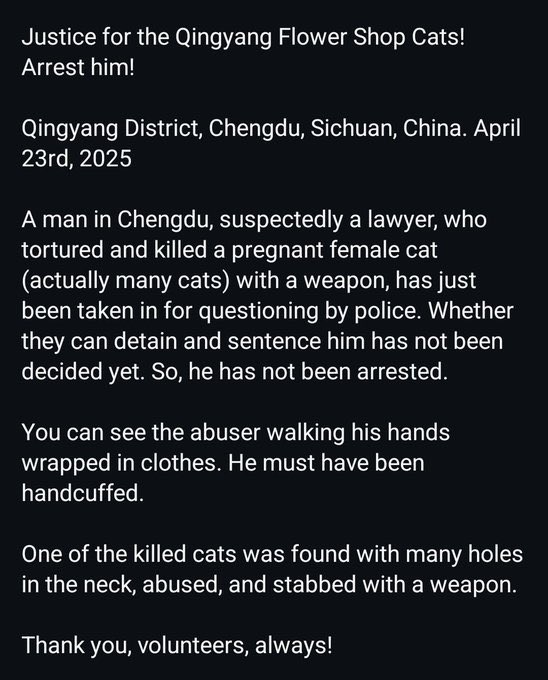 Chinese people abuse animals tweet media