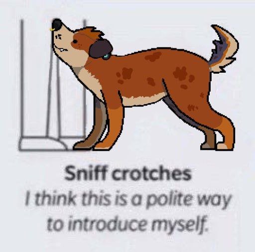 Hi, I'm Dakota. *snifffff*