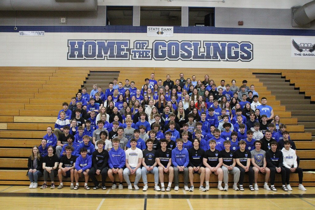 Here are your WHS Spring athletes!   We have 247 students participating in a Spring sport this year!  (not all are pictured)  #wearethegoslings #WuTownProud