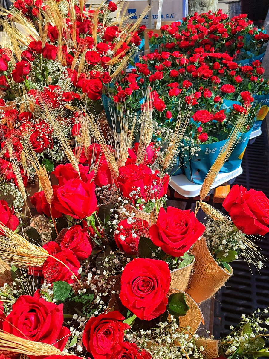 Bona diada de Sant Jordi amics...🌹🌹🌹🌹