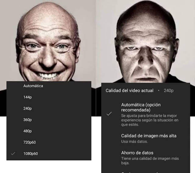 Una hormiga que mira tu post 🐜 (@hormiga_returns) on Twitter photo 