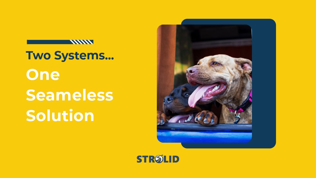 Strolid's tweet image. 🤝 Your CRM. Our BDC. One top performing dealership, yours - zurl.co/w65hA! 

#AutoRetail #DealershipTech #NeverMiss