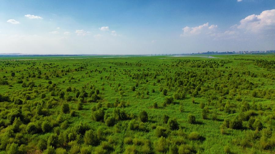 President Xi said on Wednesday that China will announce its 2035 nationally determined contributions (NDCs) covering all economic sectors and all greenhouse gases before the United Nations Climate Change Conference in Belem, Brazil xhtxs.cn/24G