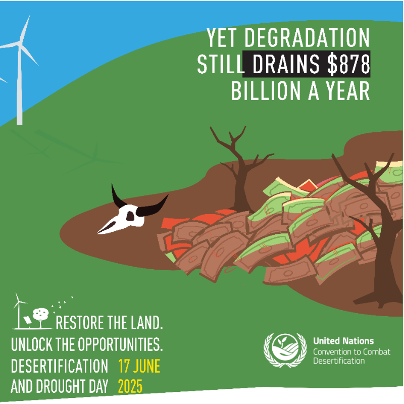 UNCCD's tweet photo. For every $1 invested in land restoration, we get up to $30 in economic returns.

But land degradation still drains $878 billion from the global economy each year.

Restoration is not a cost - it is an opportunity. 

#UNited4Land #DesertificationAndDroughtDay2025