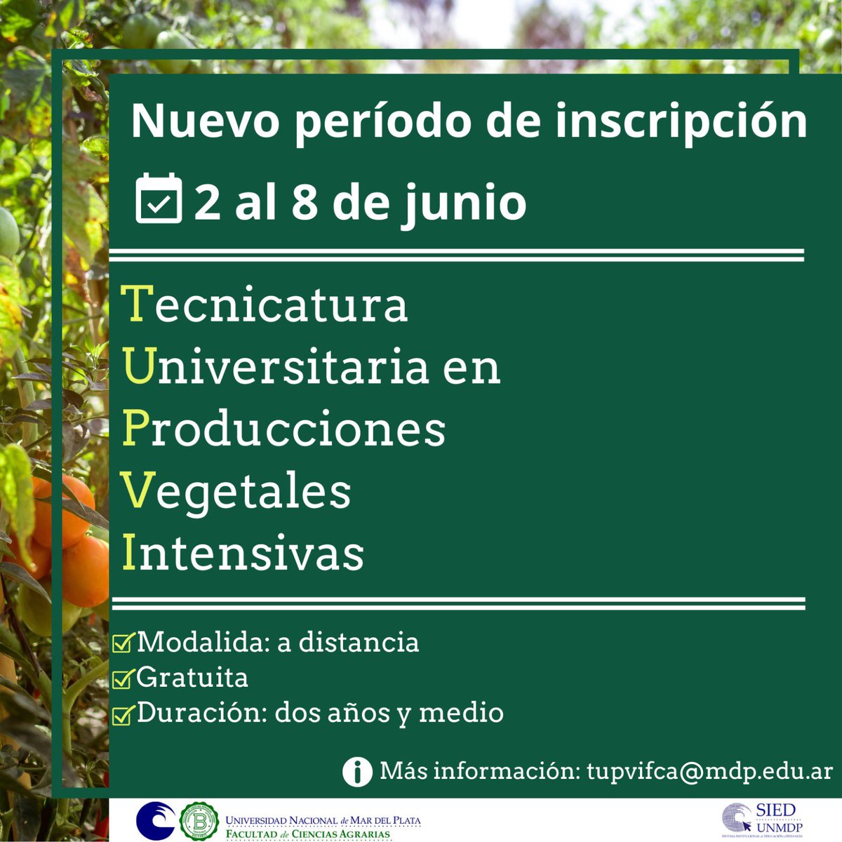 FCABalcarce - UNMDP (@fcabalcarce) on Twitter photo 📢Nueva fecha de inscripción para la TUPVI
📆¿Cuando?: del 2 al 8 de junio
ℹ️Más información: tupvifca@mdp.edu.ar 📢Nueva fecha de inscripción para la TUPVI
📆¿Cuando?: del 2 al 8 de junio
ℹ️Más información: tupvifca@mdp.edu.ar