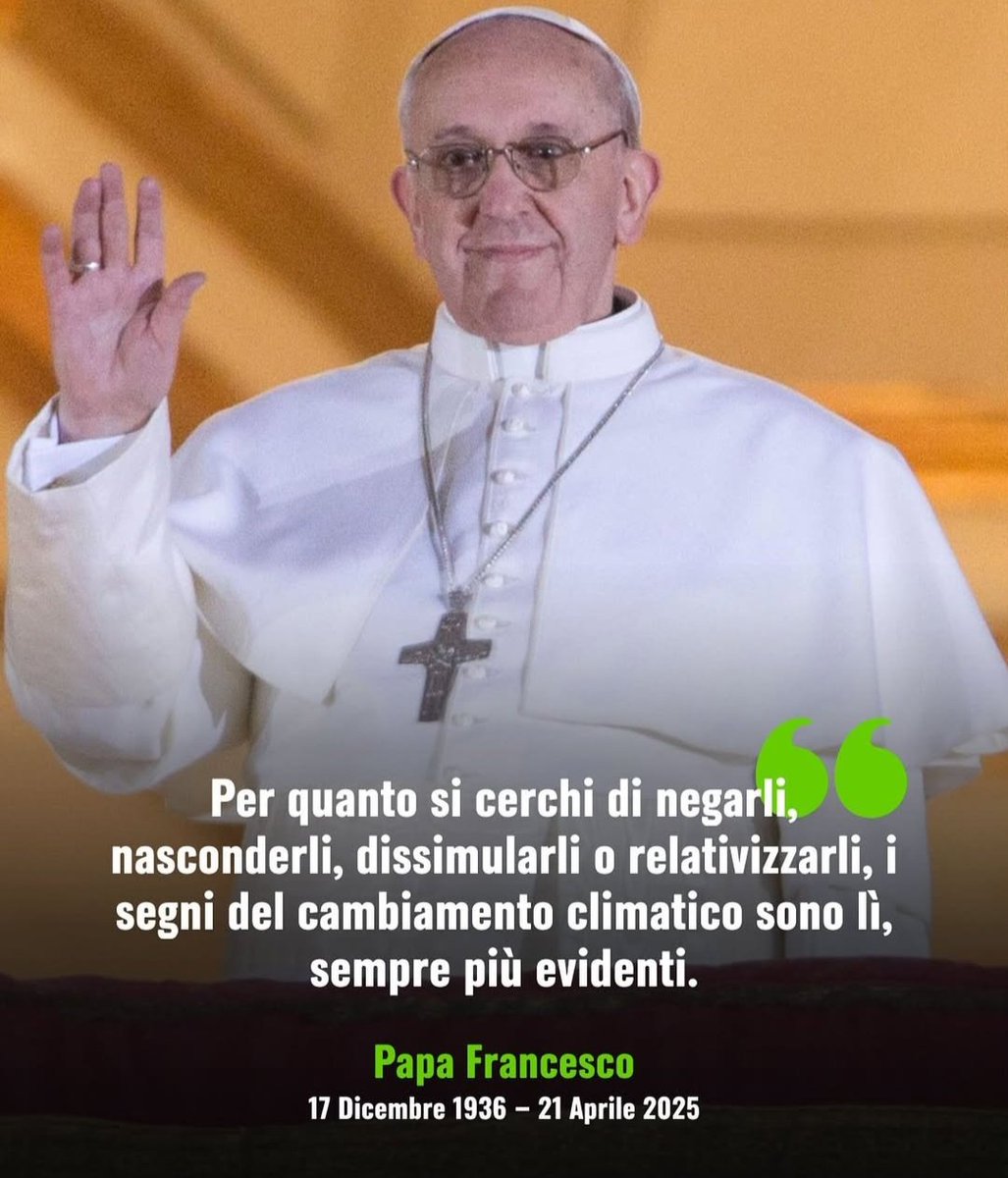 Mario Tozzi ⛏ tweet media