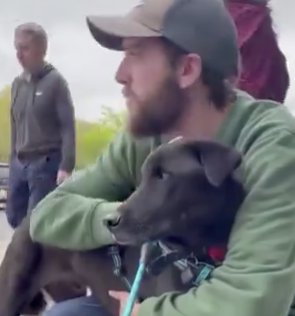 BestDogContent's tweet image. You didn’t just save Larry — you gave him a whole new story 🥹