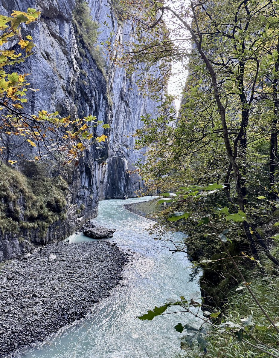 AnndroR's tweet image. Fabulous pic!

#DailyPictureTheme 
The Aare #Meandering 🇨🇭😉.