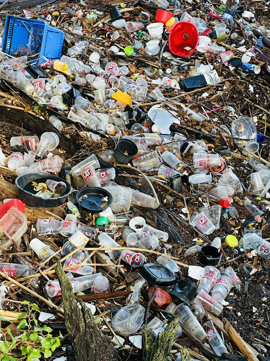 Oscar Galindo tweet media