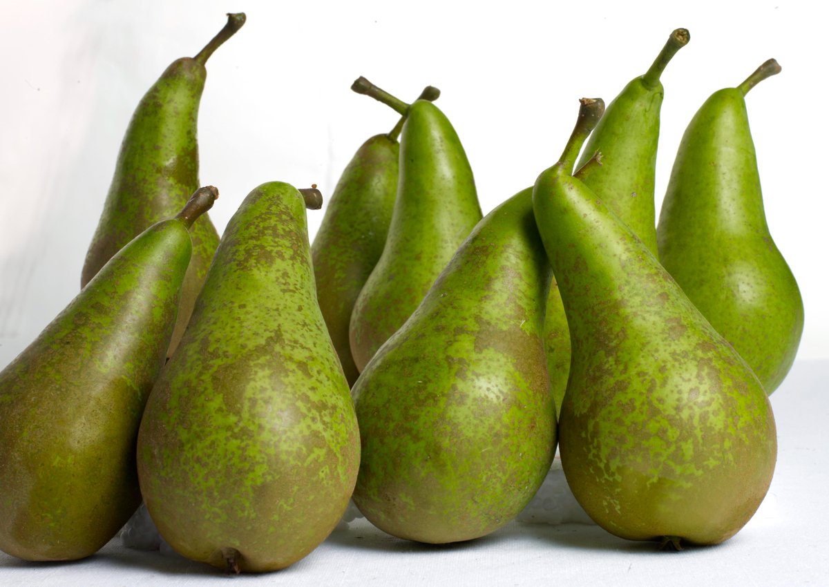 Interpera tweet media