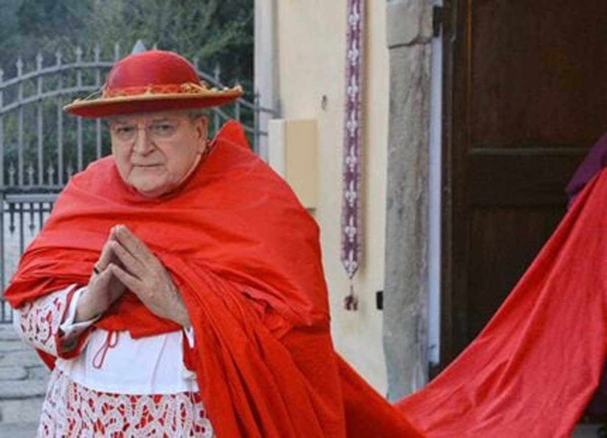 Verso il Conclave: la Rete restituisce il cardinale Usa, Burke, in Cappa Magna con 12 metri di strascico
E' già battaglia social contro le  mire Usa per il nuovo Papa. Gli sfarzi in contrapposizione alla  semplicità. E Trump diventa Don Ald Trump
…w-affaritaliani-it.cdn.ampproject.org/c/s/www.affari…
