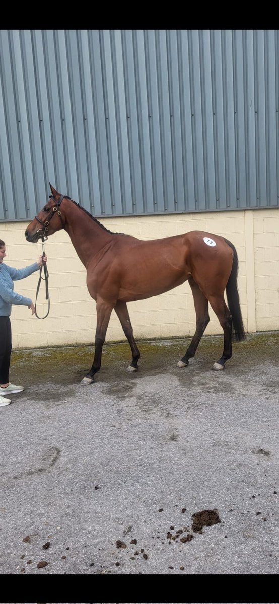 Ian Donoghue Racing tweet media