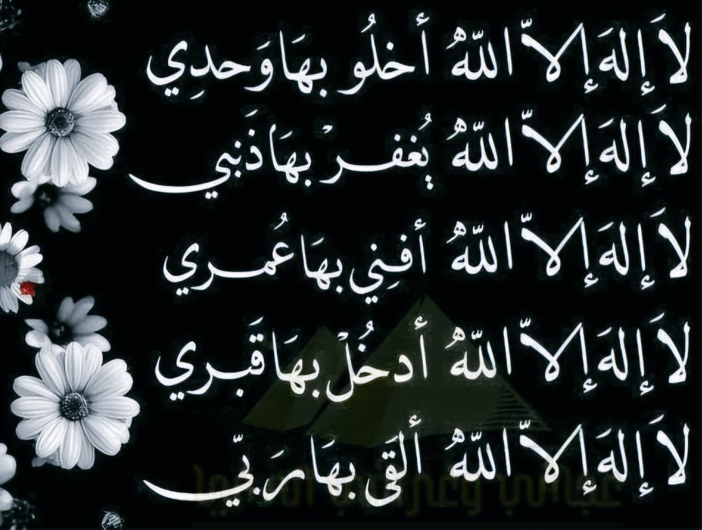 الـنـــايـف tweet media