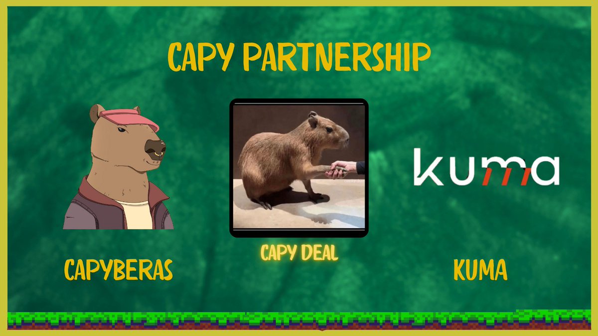 Capyberas 🐻⛓️ tweet media